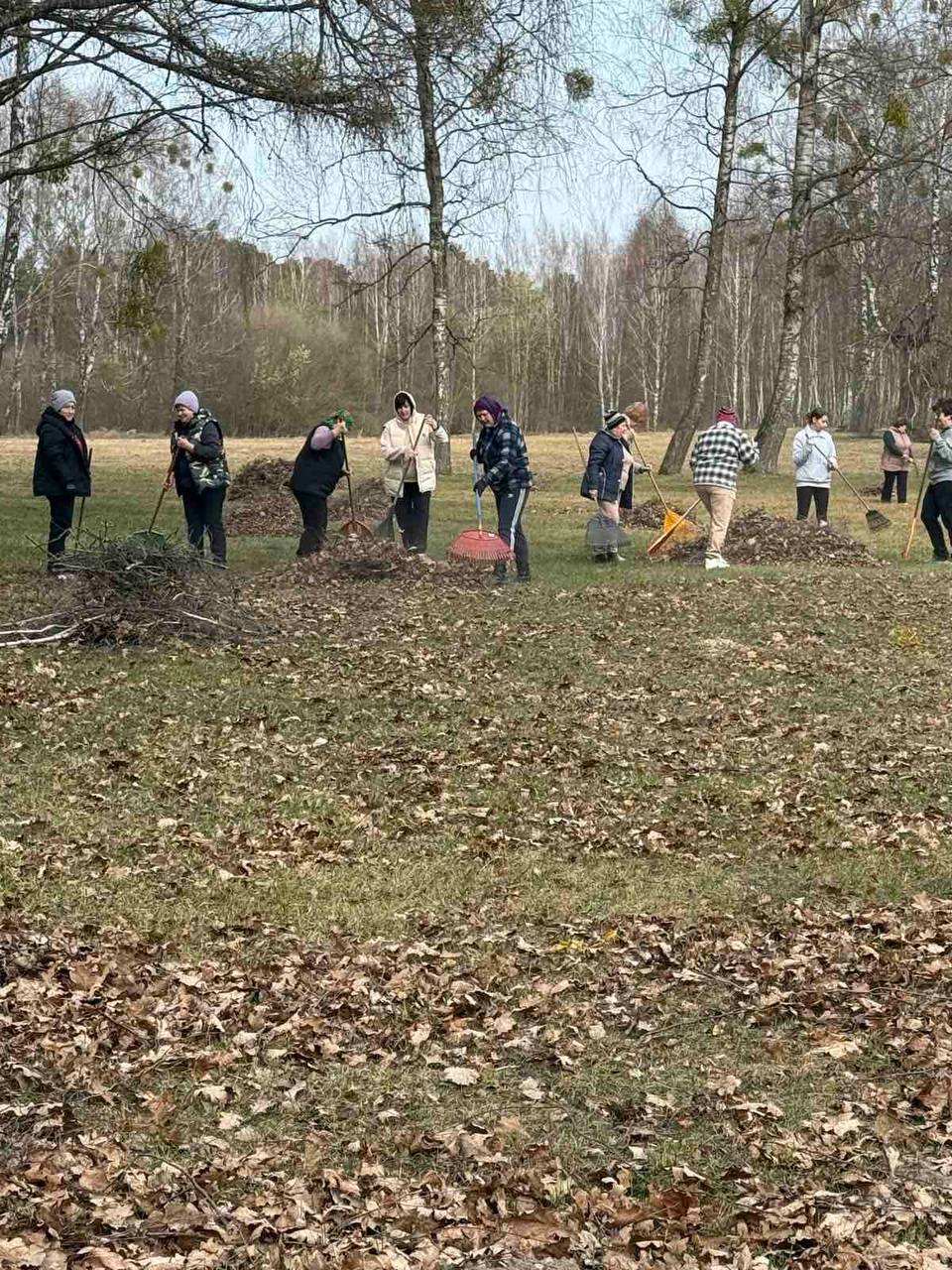 Мы лечим людей - и храним зелёный дом