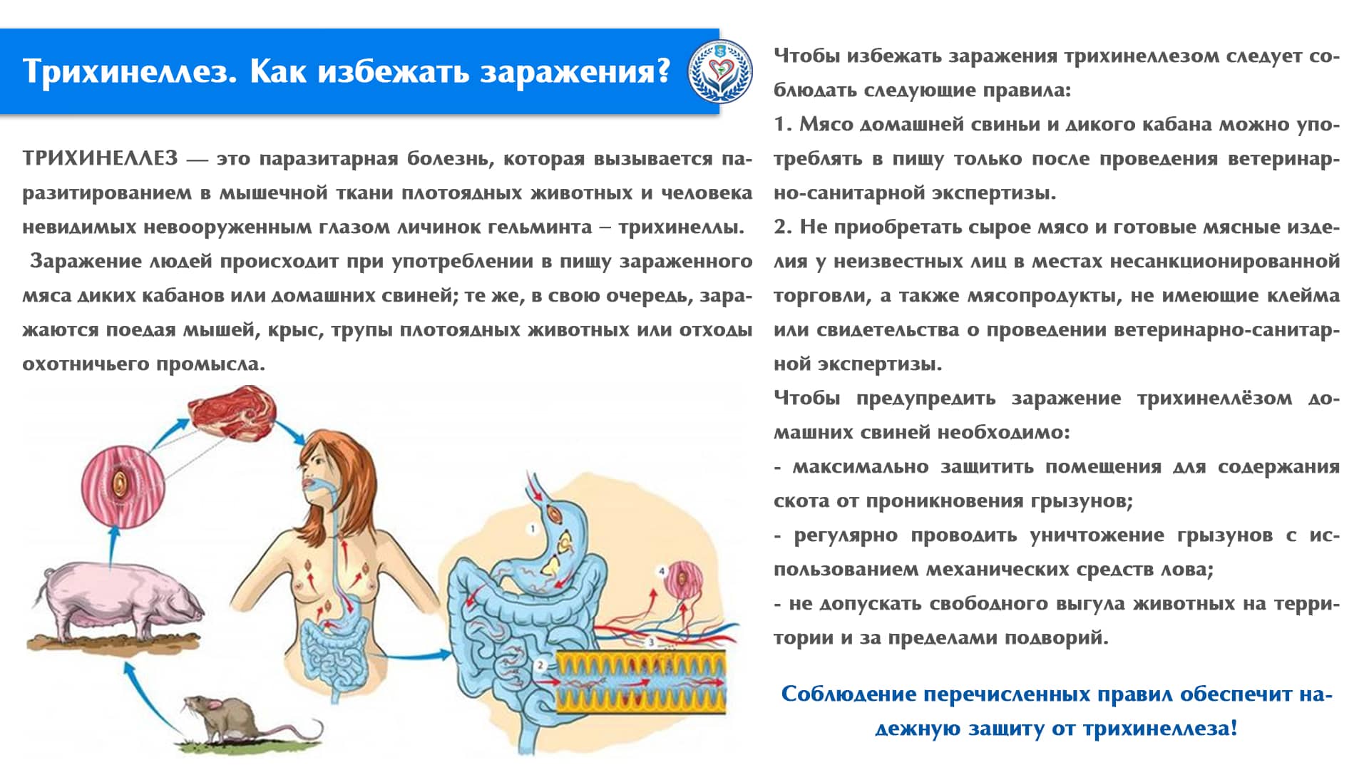 Трихинеллез. Как избежать заражения?