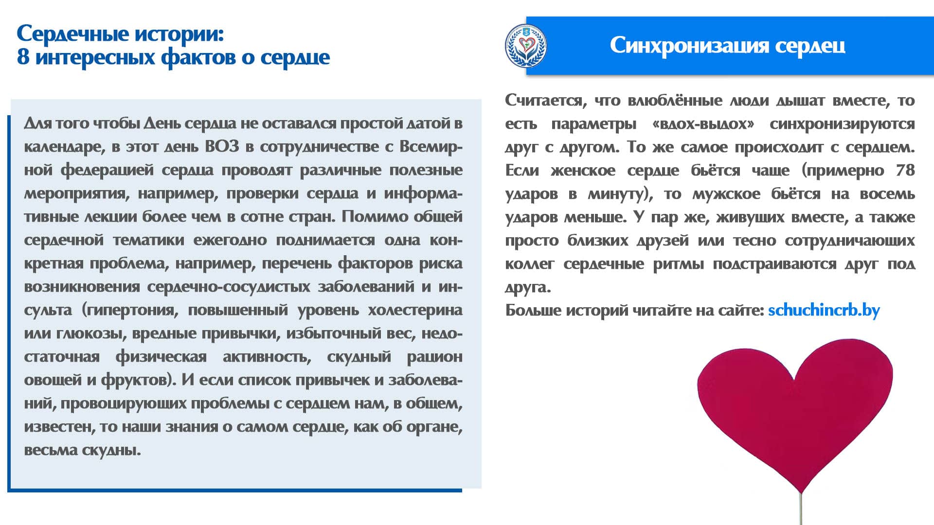 Сердечные истории: 8 интересных фактов о сердце