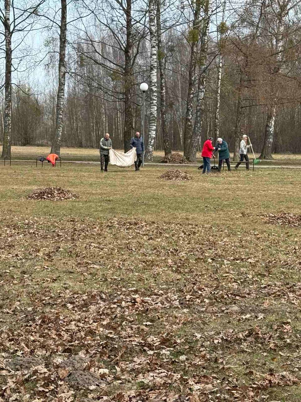 Мы лечим людей - и храним зелёный дом