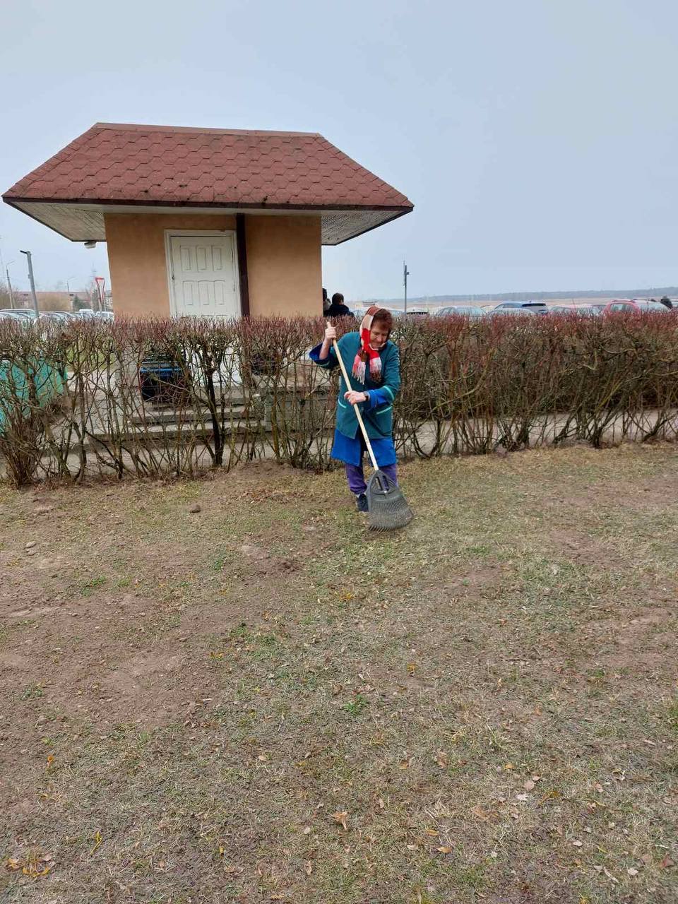 Мы лечим людей - и храним зелёный дом