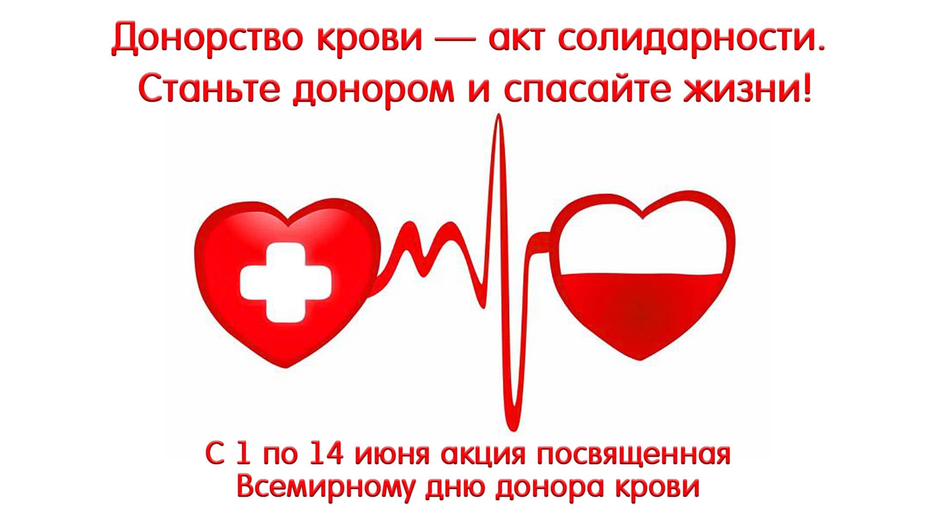 Донорство крови — акт солидарности