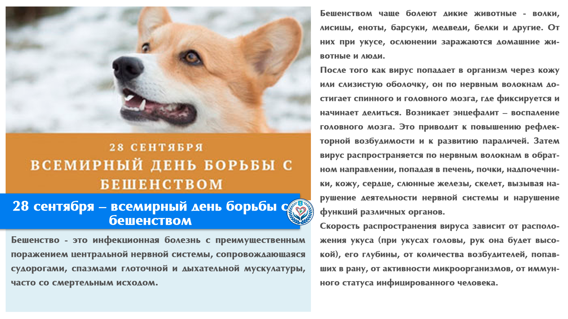 28 сентября – всемирный день борьбы с бешенством