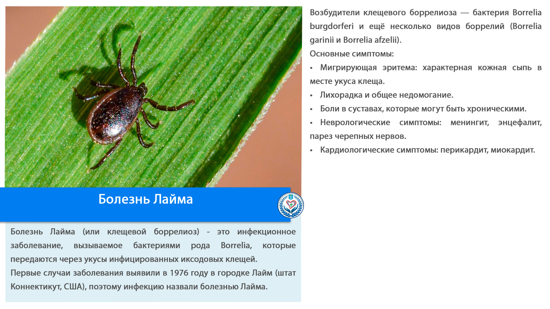Болезнь Лайма