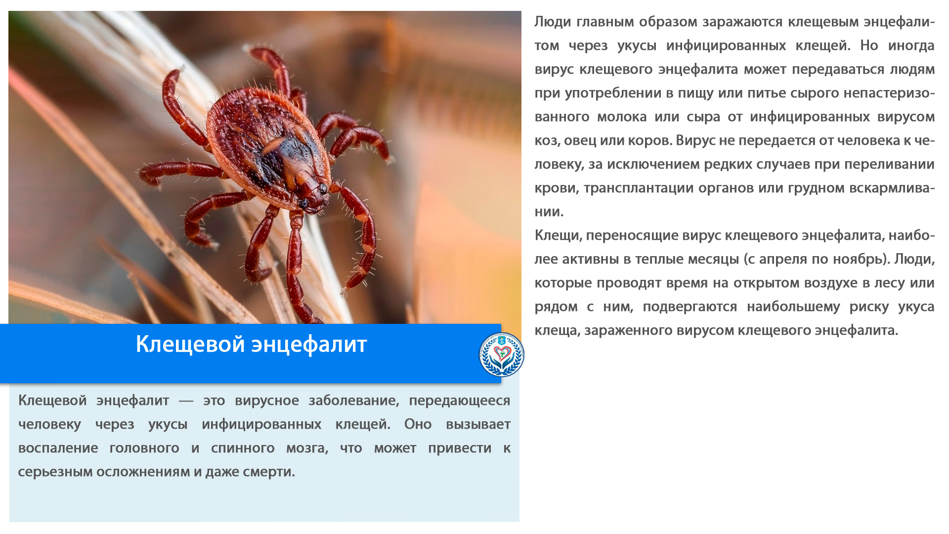 Клещевой энцефалит 