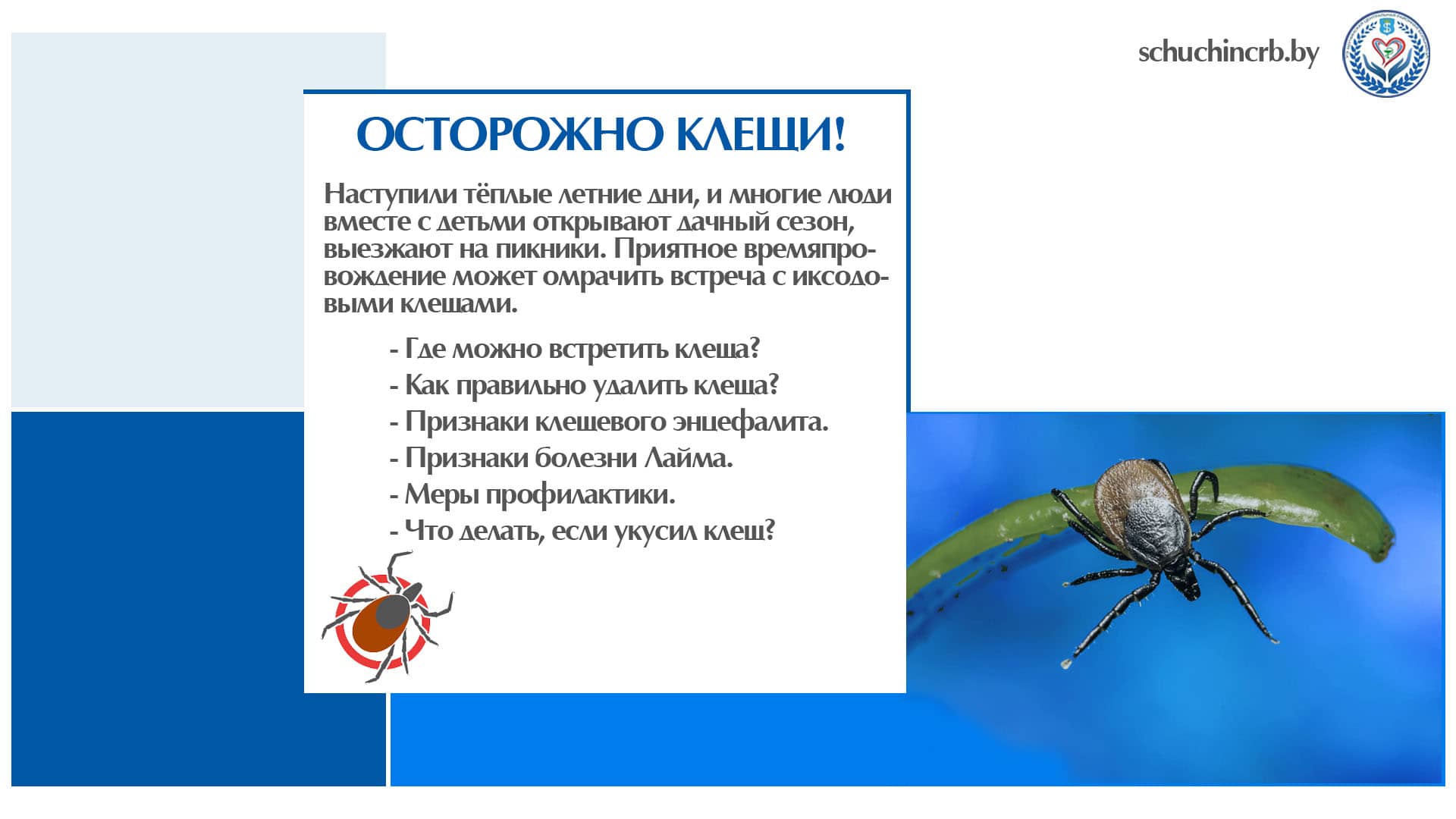 Укус клещом