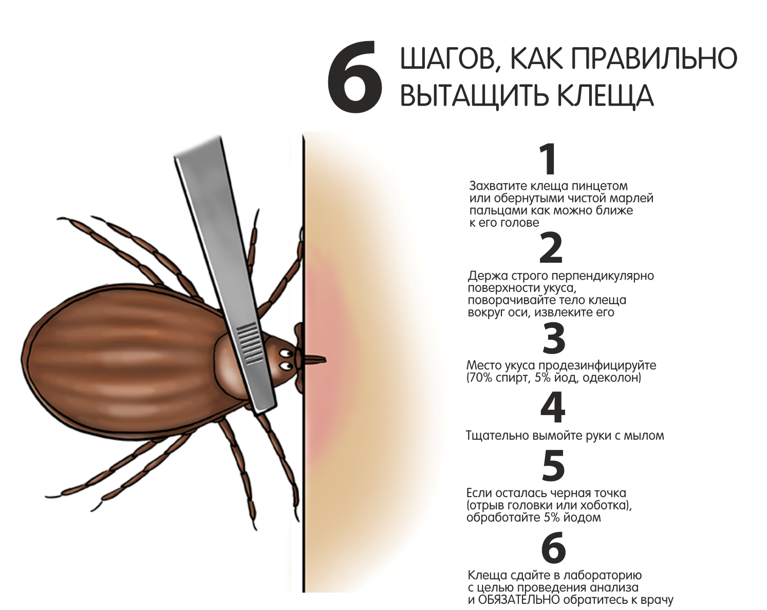 Укус клещом