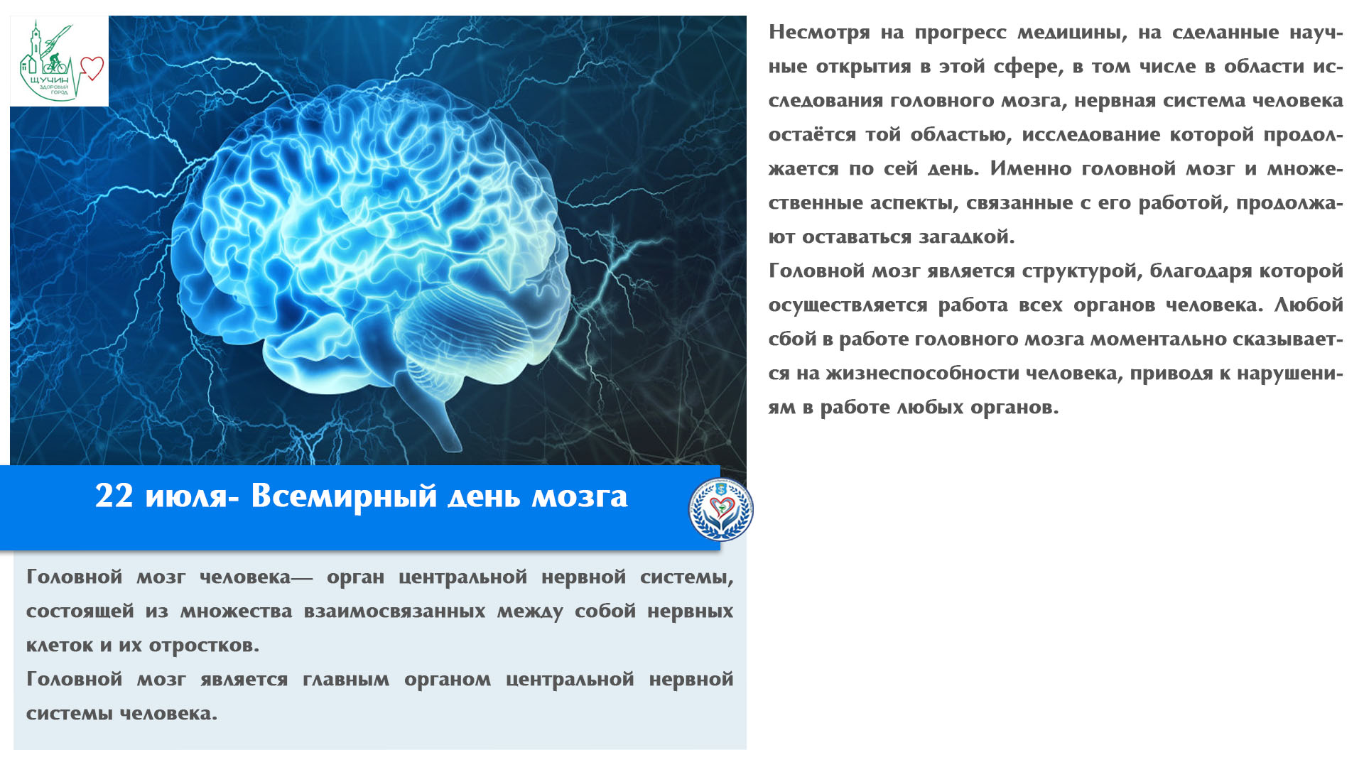 22 июля- Всемирный день мозга