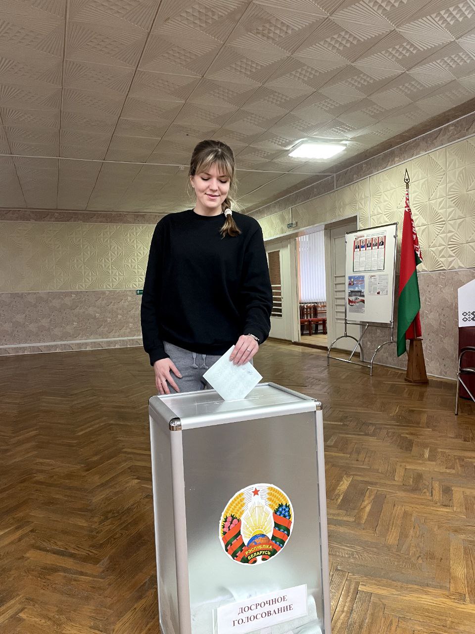 Досрочное голосование
