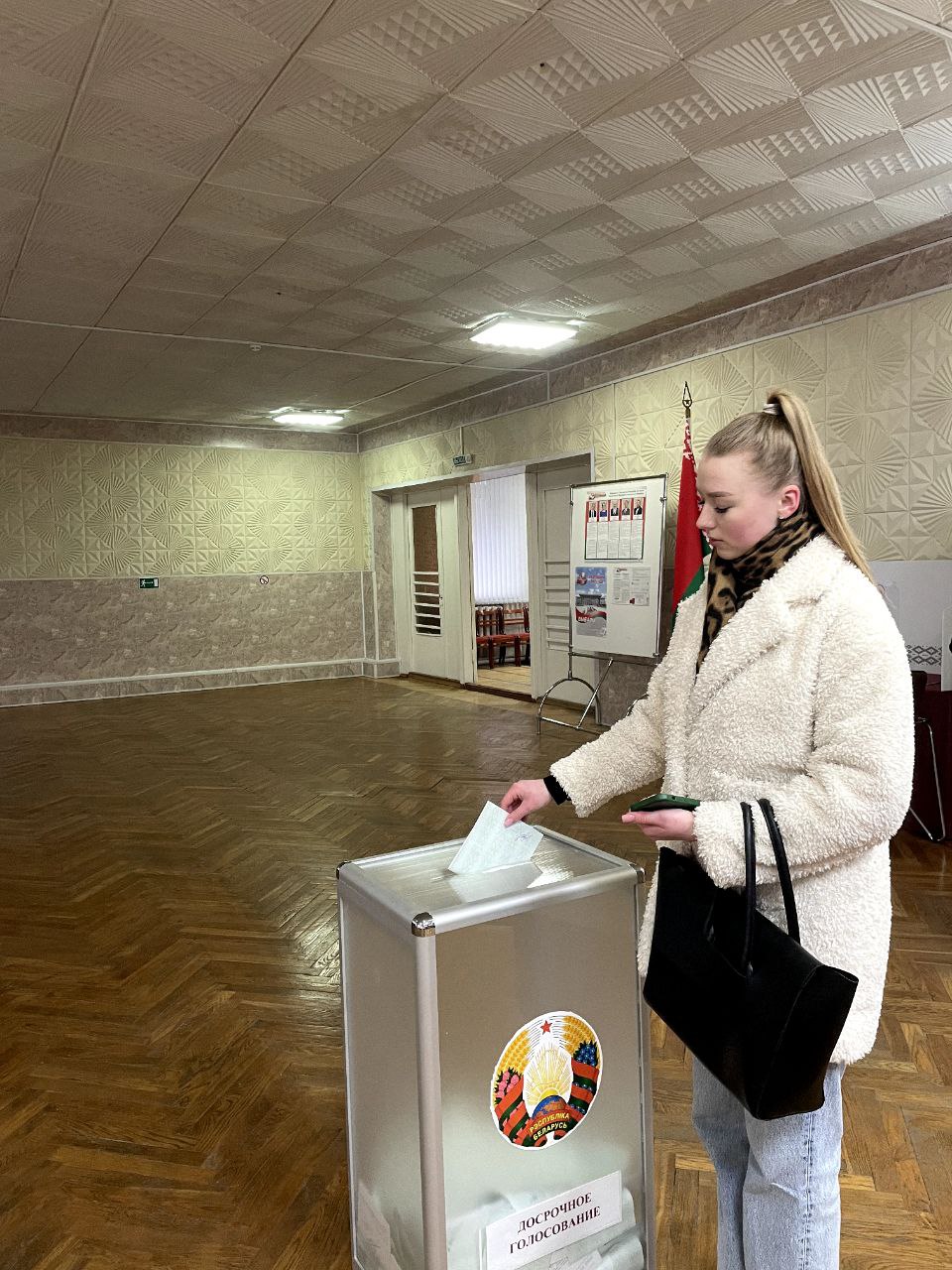 Досрочное голосование