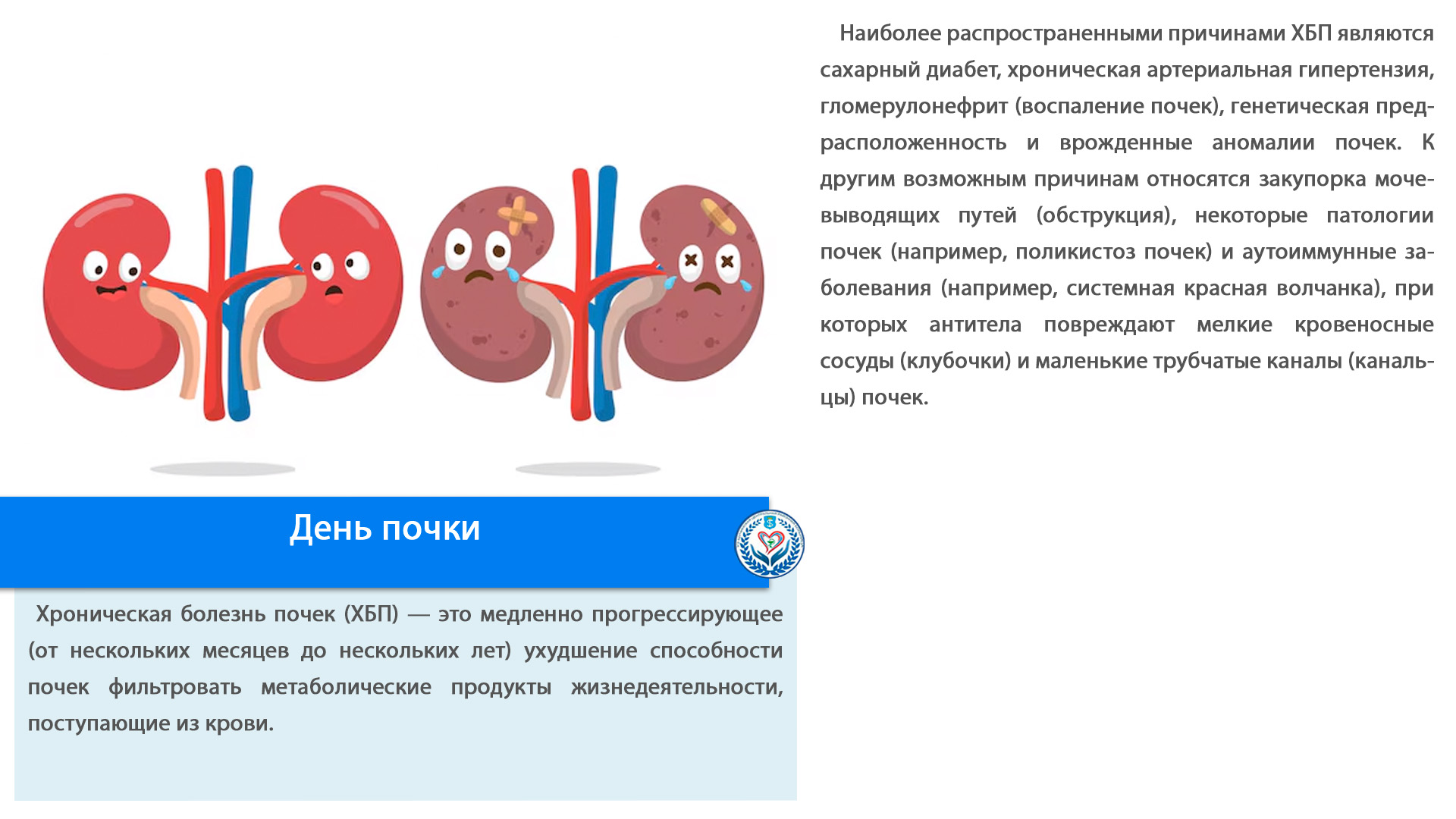 День почки
