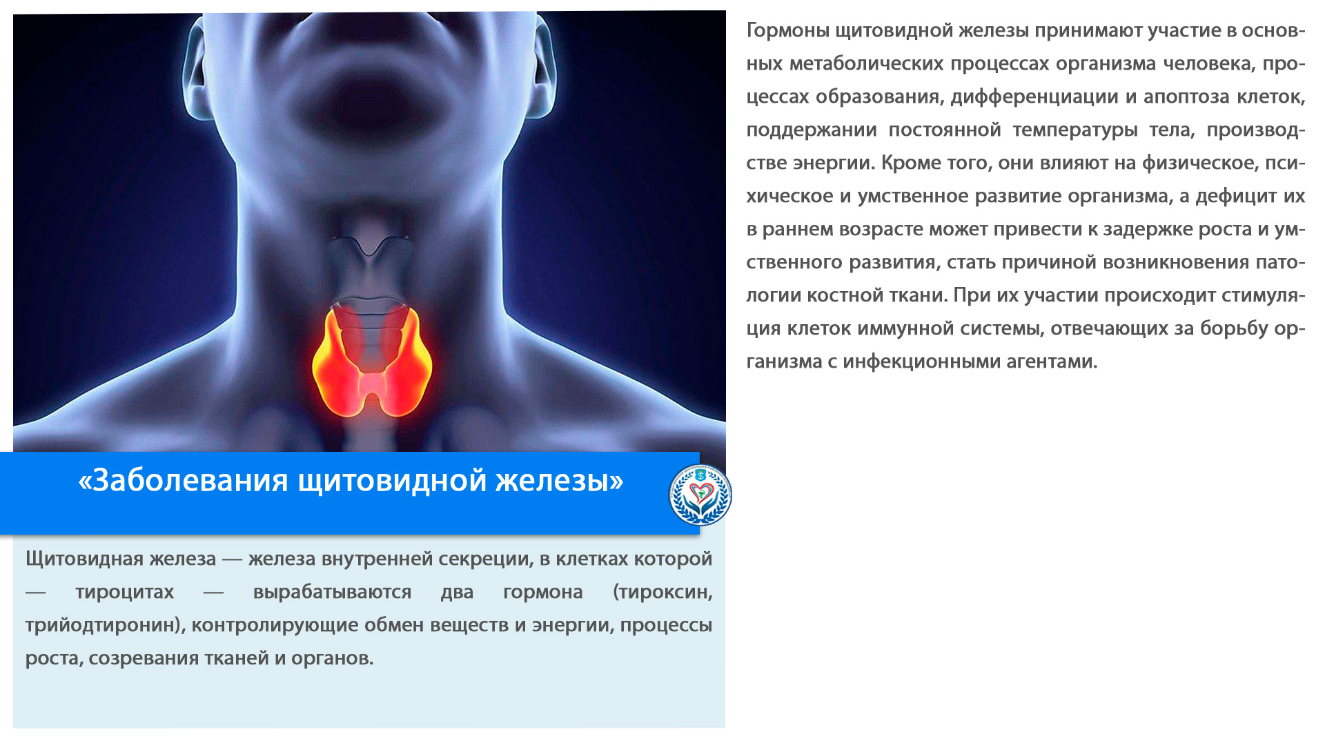 «Заболевания щитовидной железы»