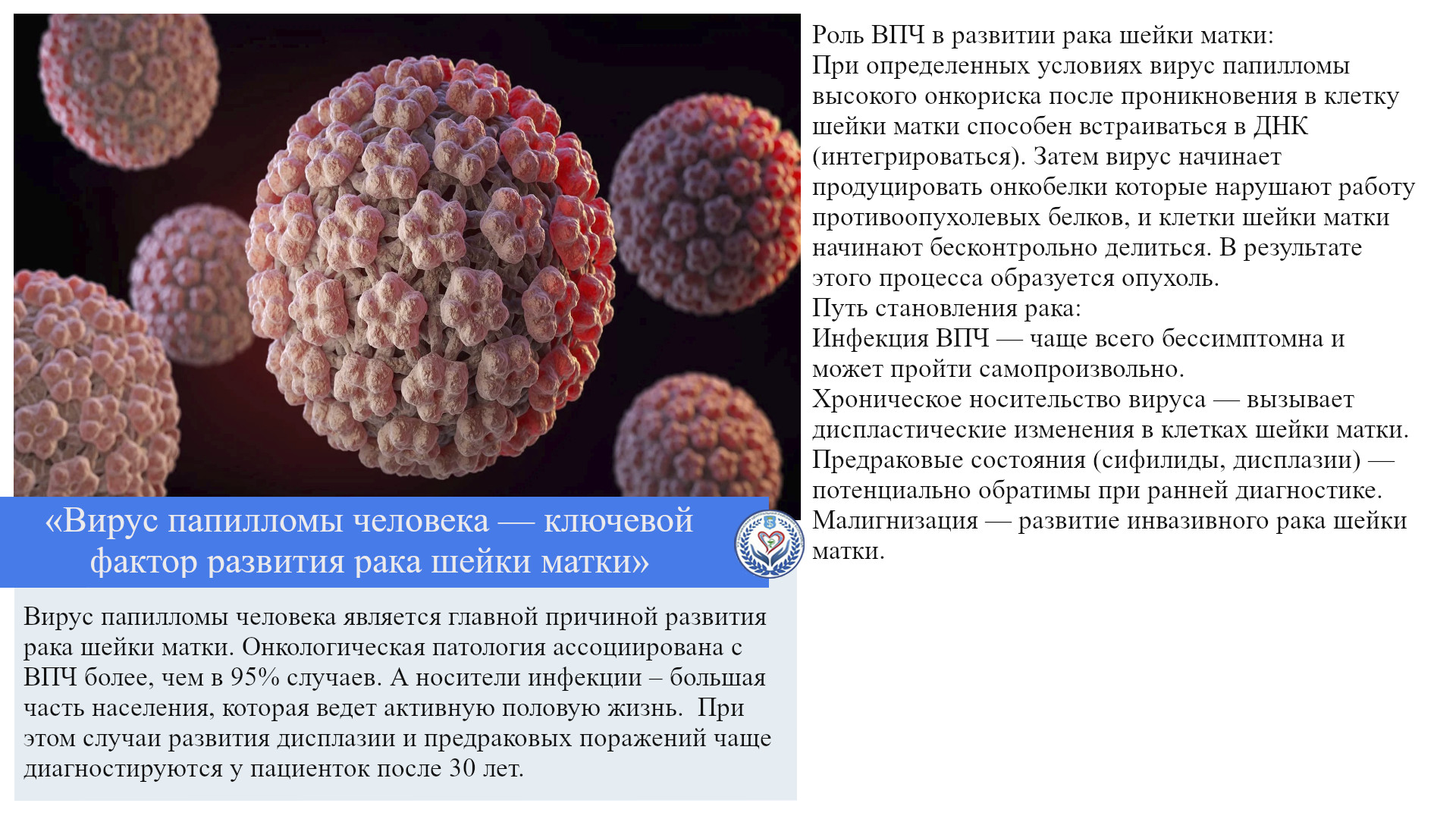 «Вирус папилломы человека — ключевой фактор развития рака шейки матки»