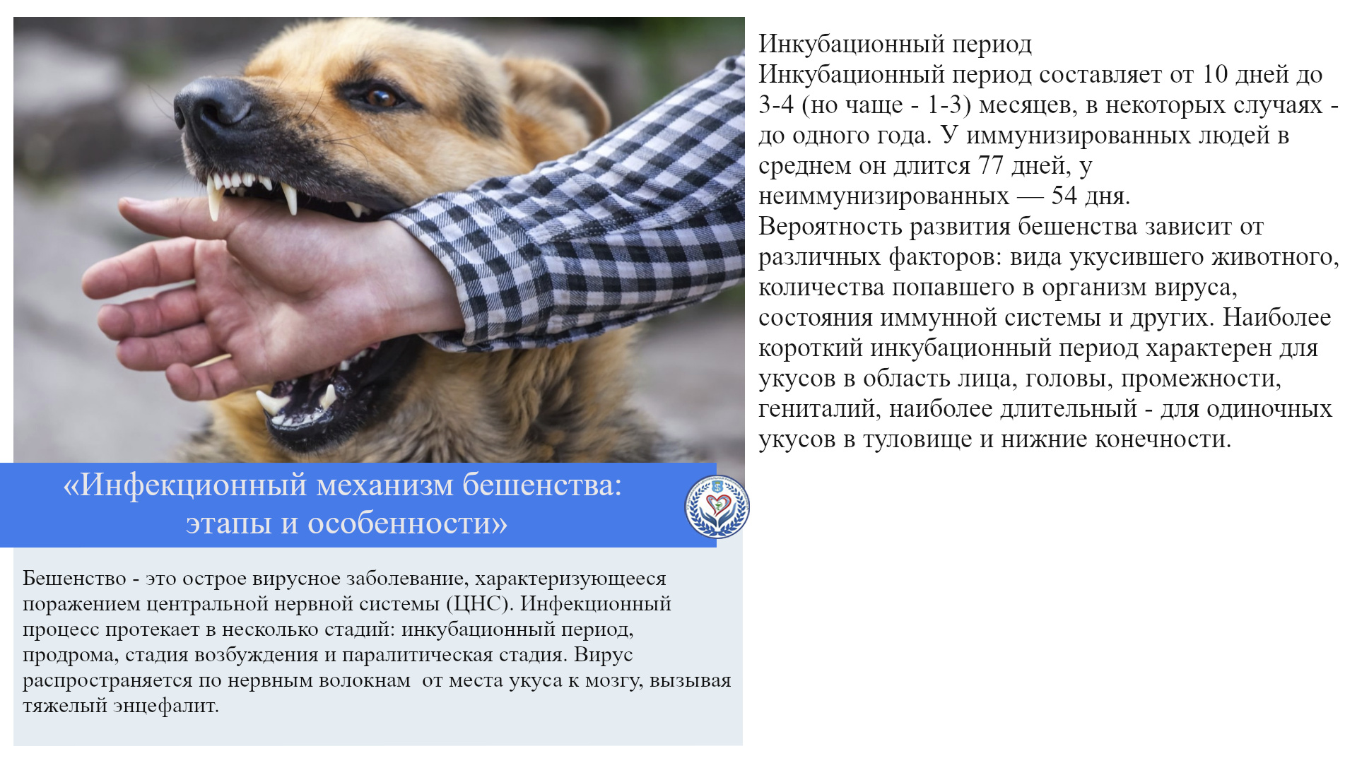 «Инфекционный механизм бешенства: этапы и особенности»