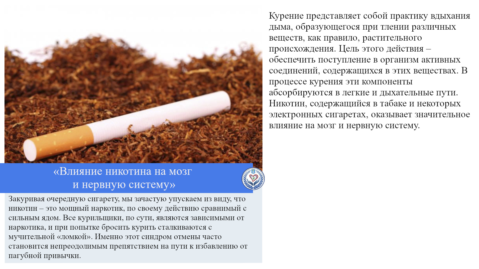 «Влияние никотина на мозг и нервную систему»