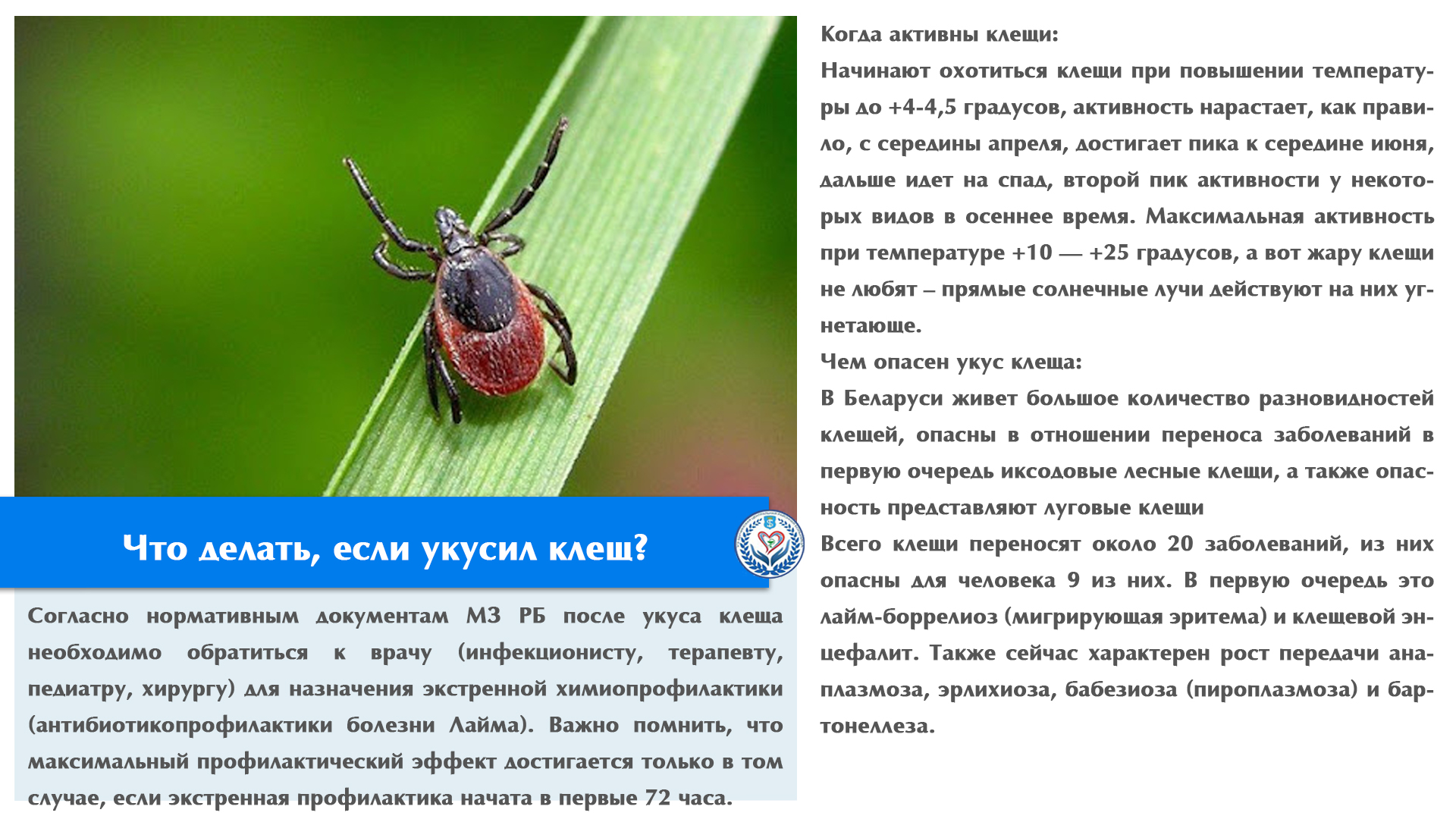 Что делать, если укусил клещ?